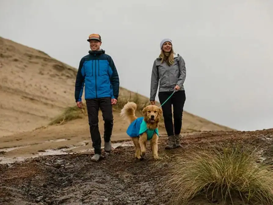 Pärchen wandert mit Hund
