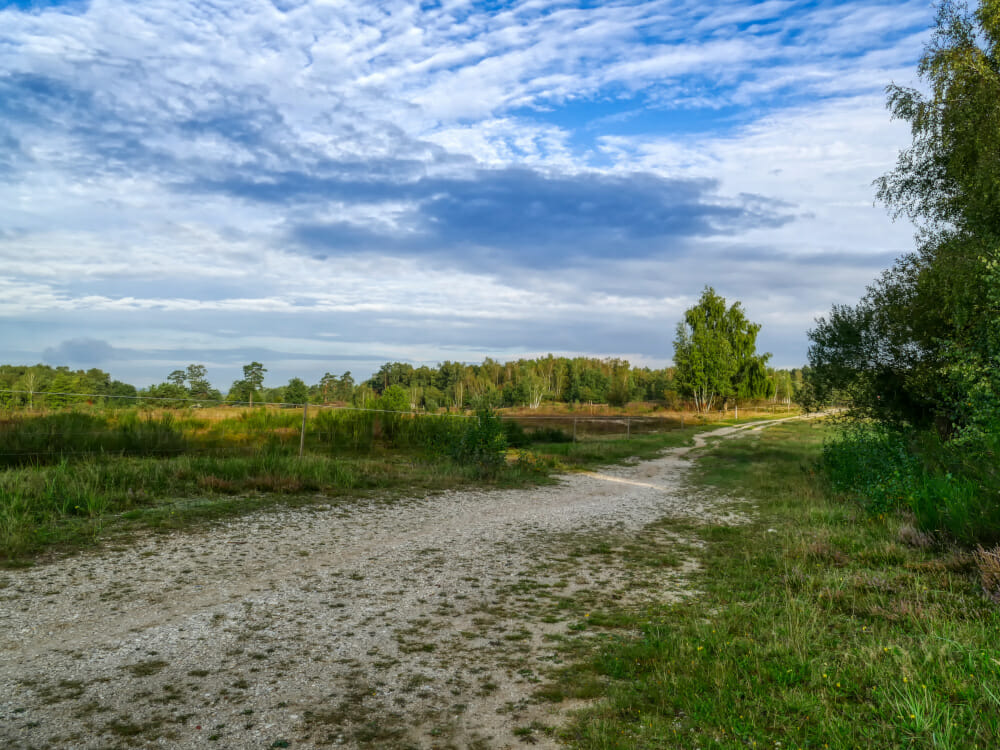 Die Wahner Heide ist ein schönes Naturschutzgebiet und von Köln aus sehr gut erreichbar.