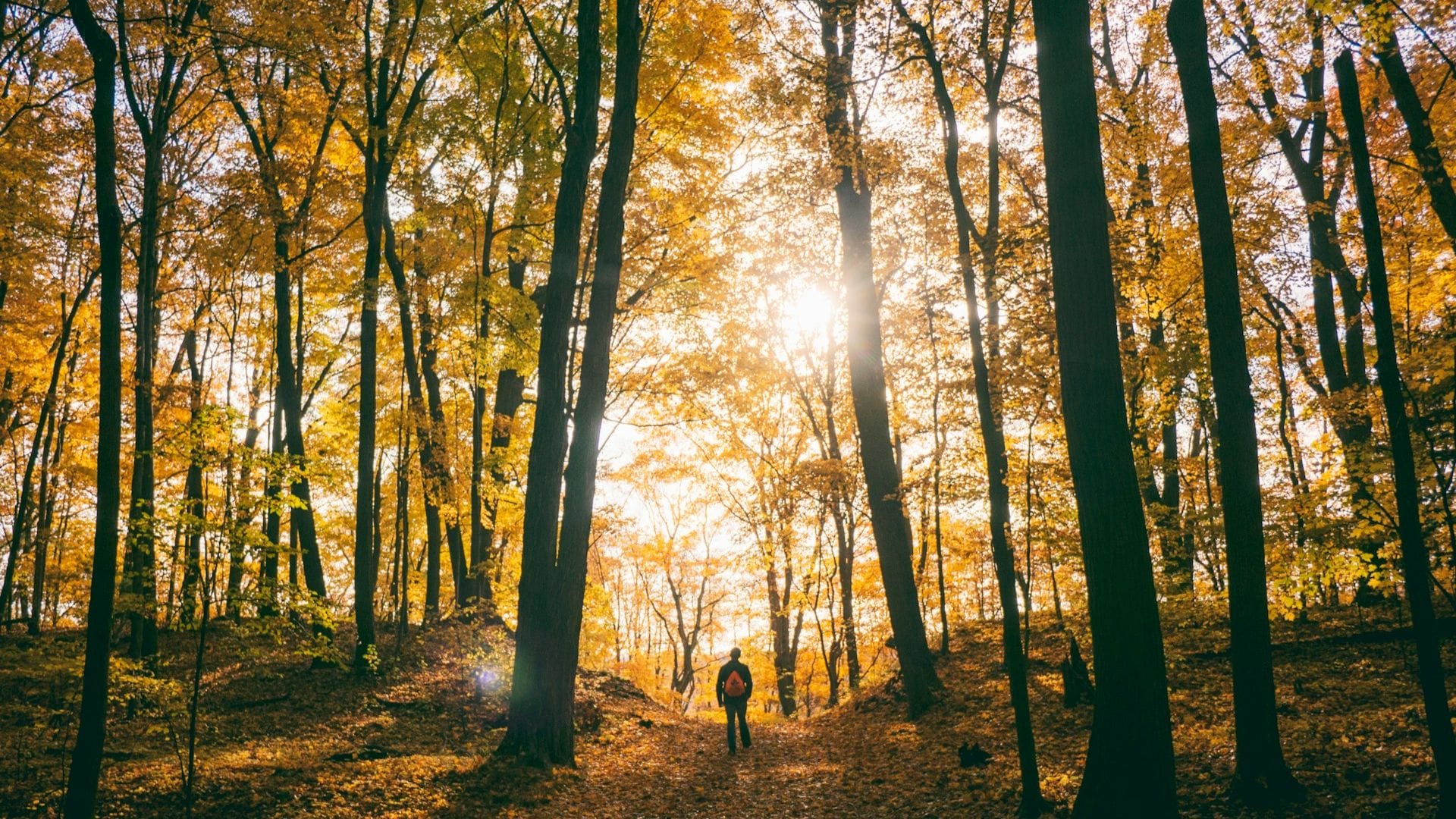 Wandern im Herbst