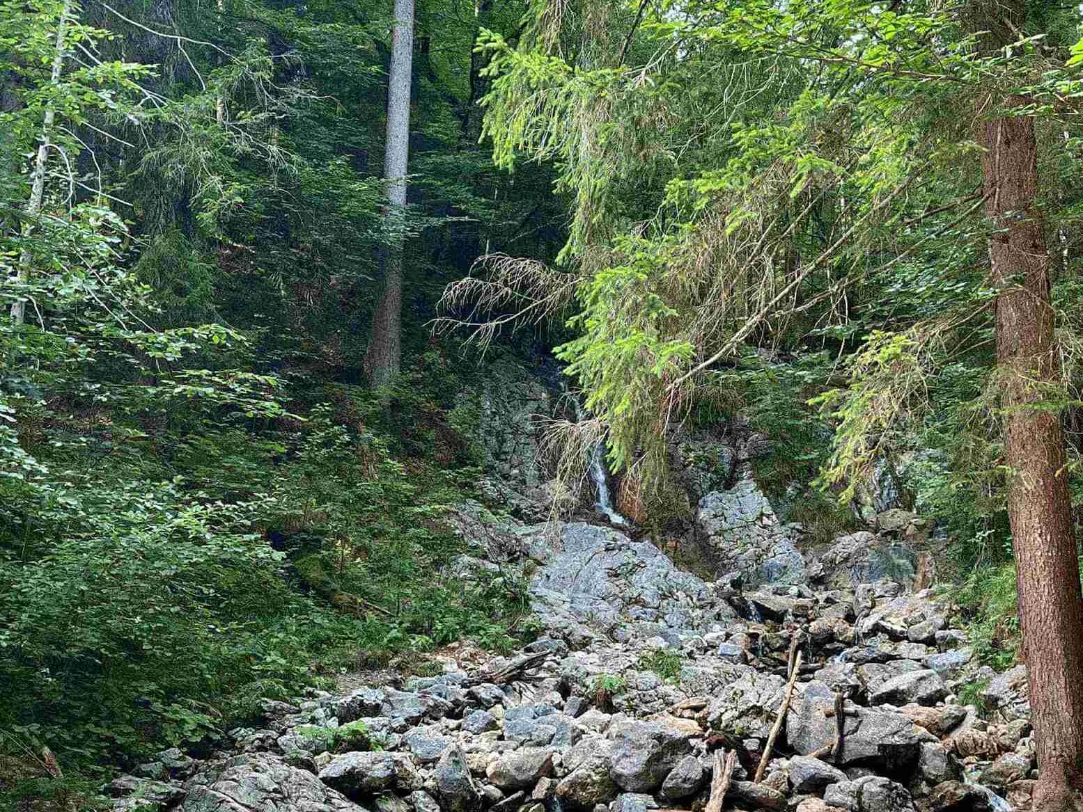 Ein Kleiner Wasserfall mitten in der Natur am Eibsee