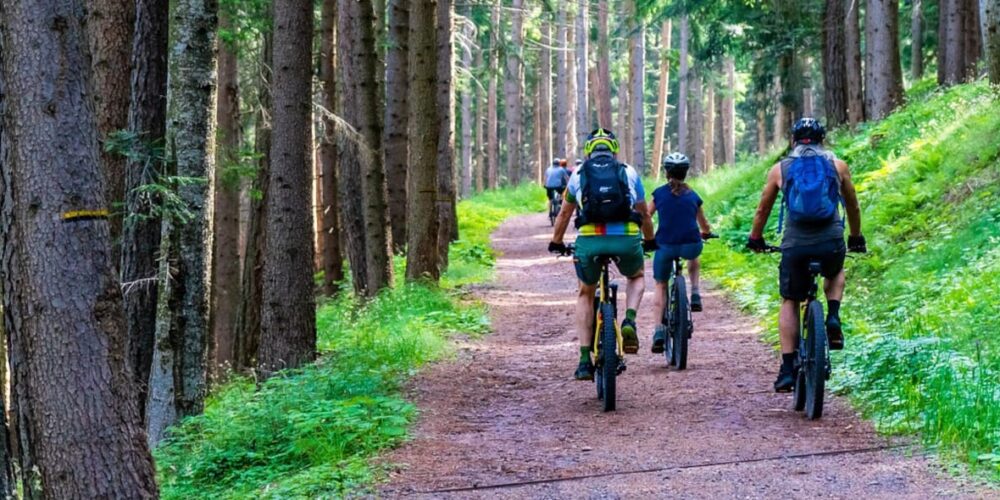 Der Lehrgang zum MTB-Guide bietet viel.