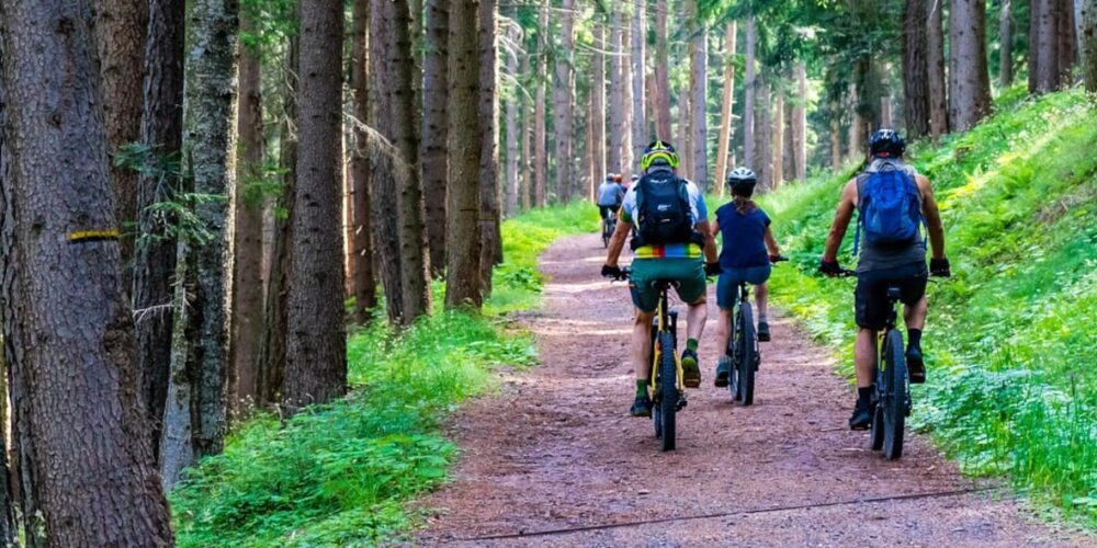 Der Lehrgang zum MTB-Guide bietet viel.