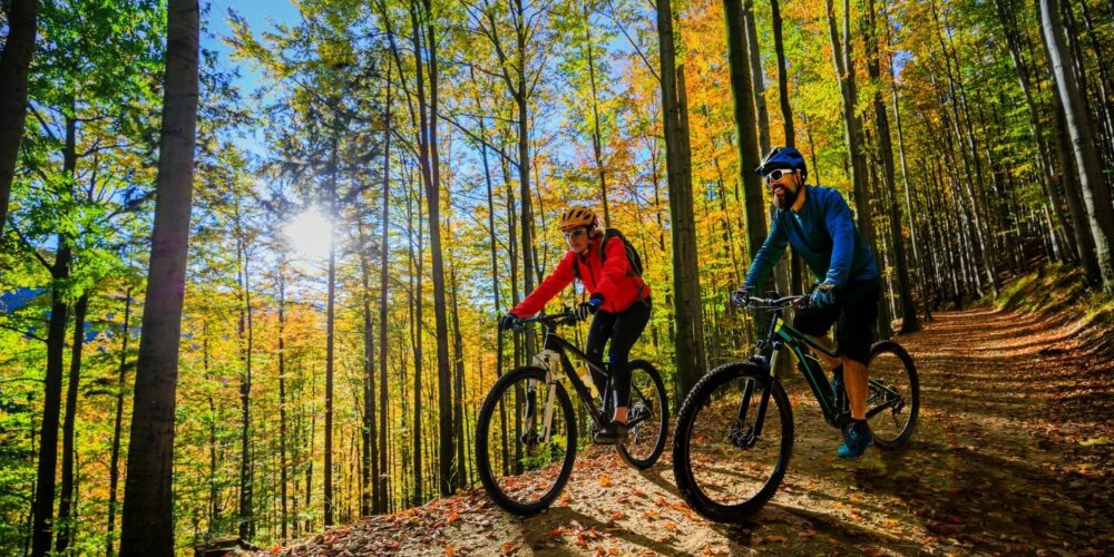 Fahrradbremsen