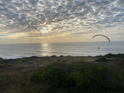 Bild 1 von Terri zu Altra - Women's Escalante 4 - Runningschuhe