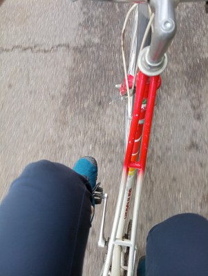 Bild 1 von Diana zu Ballop - Corso - Barfußschuhe