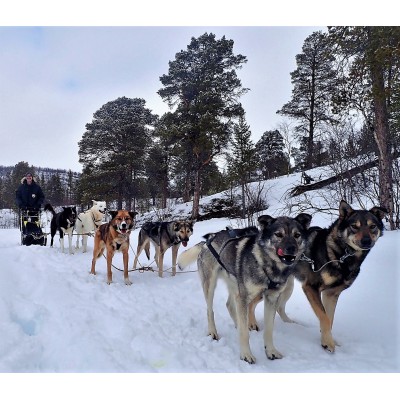 Bild 1 von Christoph zu Canada Goose - Expedition Parka - Winterjacke