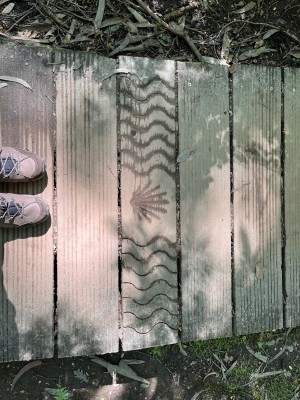 Bild 1 von Anette zu CEP - Women's Hiking Merino Mid-Cut Socks - Kompressionssocken
