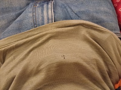 Bild 1 von Raimund zu Devold - Active Kerning Tee - Merinoshirt