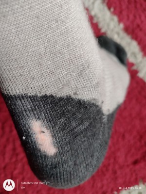 Bild 1 von Stefan zu Heber Peak - EvergreenHe. Hiking Crew Socks 2-Pack - Wandersocken