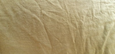 Bild 1 von Tobias zu Heber Peak - MerinoMix150 PineconeHe. T-Shirt - Merinoshirt