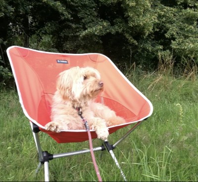 Bild 1 von Katja zu Helinox - Chair One XL - Campingstuhl