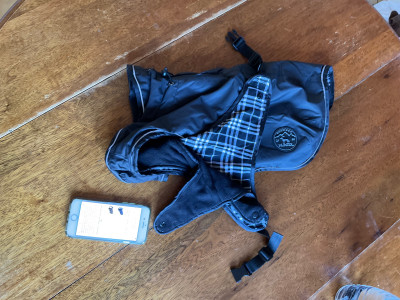 Bild 1 von CAROLE VALÉRIE zu Hunter - Dog Coat Uppsala - Hundemantel