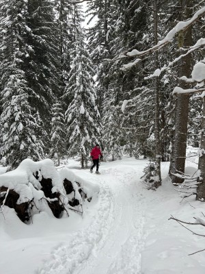 Bild 1 von Peter zu Inook - Women's Odalys - Schneeschuhe