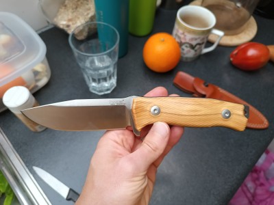 Bild 1 von Markus zu LionSteel - M5 - Messer