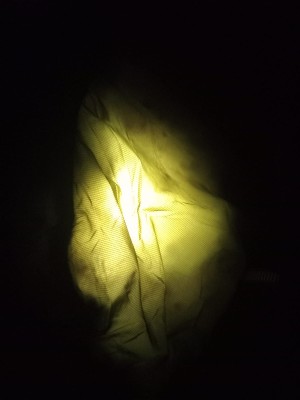 Bild 1 von Wolfgang zu Rab - Alpine 800 - Daunenschlafsack