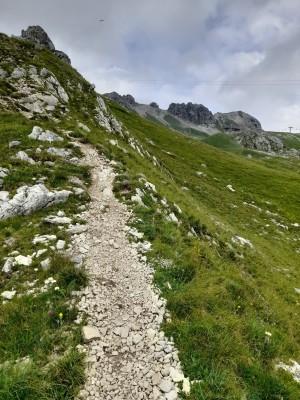 Bild 1 von Michael zu Salomon - XA Pro 3D V9 Wide - Multisportschuhe