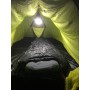 Bild 2 von Michael zu Petzl - Noctilight