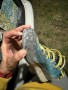 Bild 3 von Alejandro zu Scarpa - Gecko LT - Approachschuhe