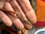Bild 5 von erick zu Scarpa - Mescalito - Approachschuhe