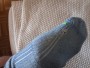Bild 1 von Martin zu Wrightsock - Coolmesh II Low Tab - Multifunktionssocken